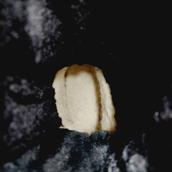 New Match Black Faux Fur Zip Up Round Toe Winter Boots X190 - Picture 10 of 12